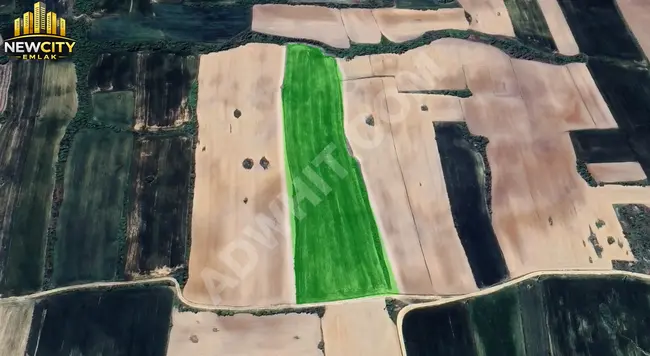 KAYALIDA 24.802 M2 SATILIK MÜSTAKİL TARLA