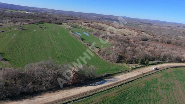 ANA YOLA CEPHELİ SATILIK TARLA 11.184 M2