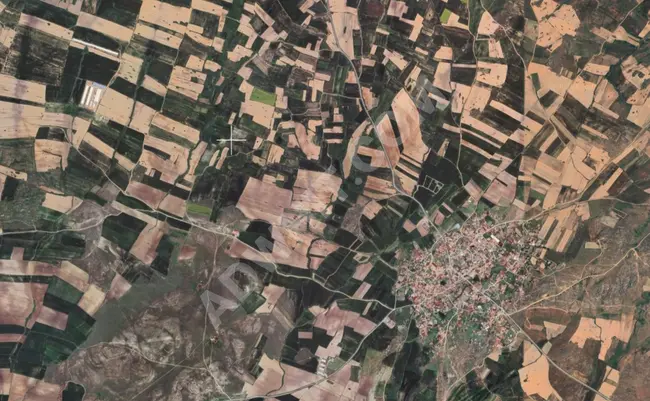 KAYALIDA 24.802 M2 SATILIK MÜSTAKİL TARLA