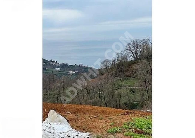 SATILIK MÜSTAKİL ARSA RİZE DERAPAZARI SANDIKTAŞ KÖYÜ 3.707 M²