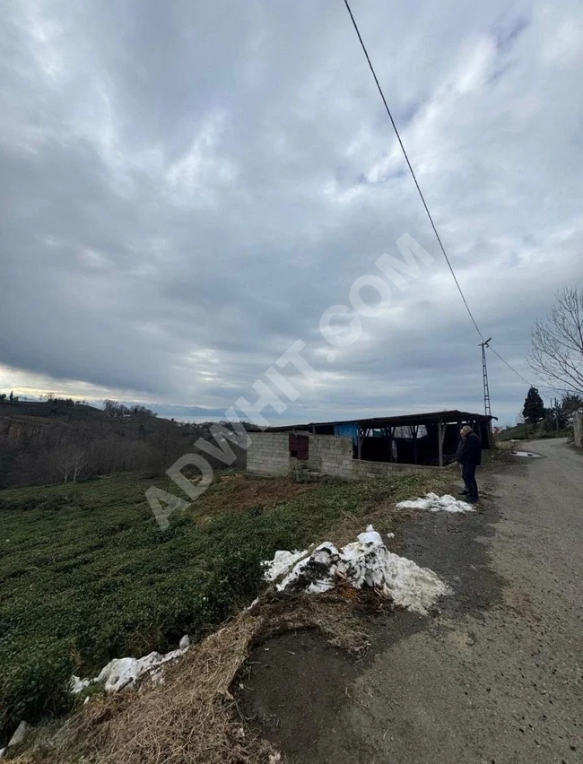 SATILIK MÜSTAKİL ARSA RİZE DERAPAZARI SANDIKTAŞ KÖYÜ 3.707 M²