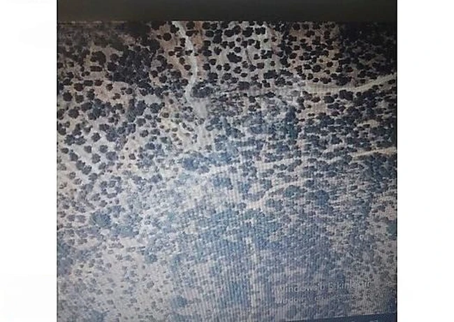 SATILIK TARLA BALIKESİR BURHANİYEDE 698 M²