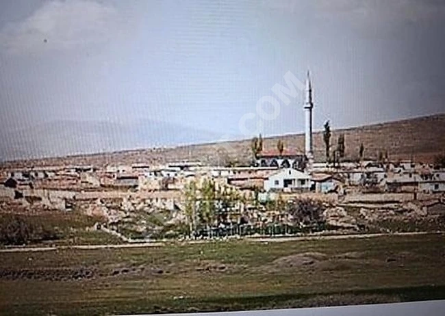 SATILIK MÜSTAKİL TARLA PINARHİSAR HACIFAKLI KÖYÜ 7.000 M²