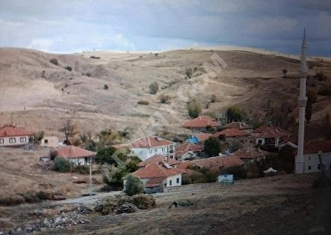 SATILIK MÜSTAKİL TARLA PINARHİSAR HACIFAKLI KÖYÜ 7.000 M²