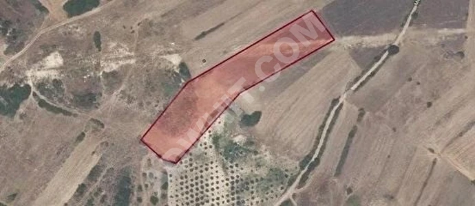 ÇANAKKALE / LAPSEKİ / MECİDİYE KÖYÜ SATILIK ARAZİ