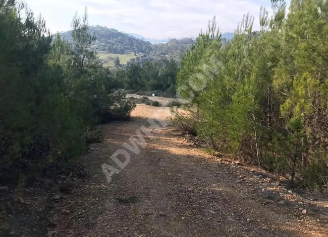 Detached Field for Sale in Balıkesir Havran, 8100 m²