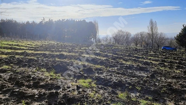 Silivri Büyük kılıçlı Satılık Müstakil Tapulu 465m2 imara cephe