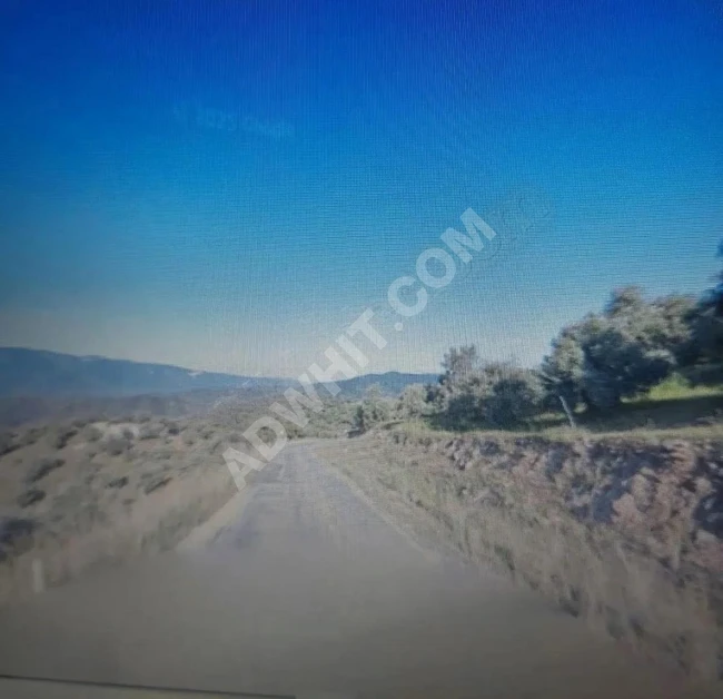 للبيع أرض زراعية بصك واحد في Muğla Milas بمساحة 1723 متر مربع