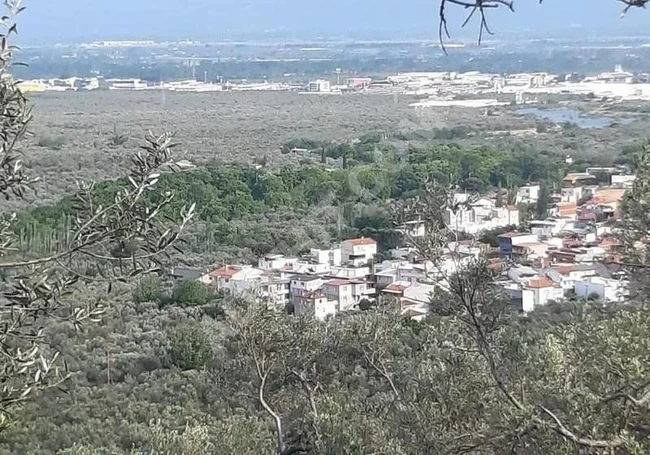 Sea View Land for Sale in Edremit Zeytinli Village 2095 m²