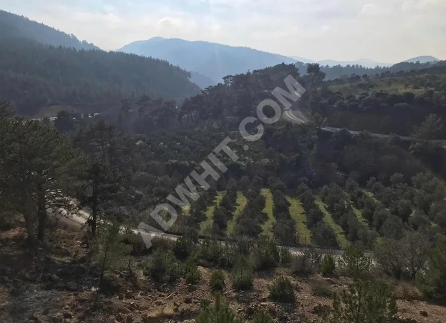 Detached Field for Sale in Balıkesir Havran, 8100 m²