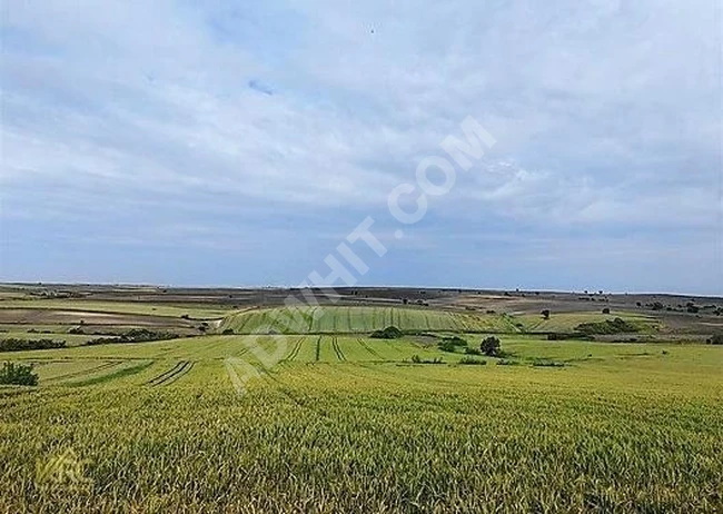 1177 m² Land for Sale in Pehlivanköy Doğanca, Close to High-Speed Train!