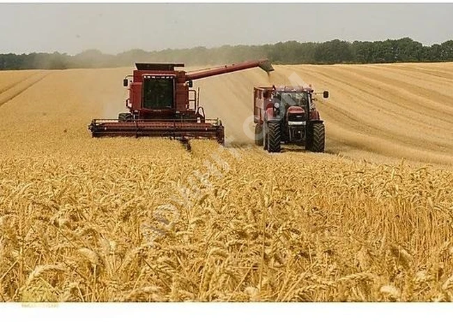 أقل من أسعار المنطقة! أرض بمساحة 2,625 متر مربع فرصة استثمارية!