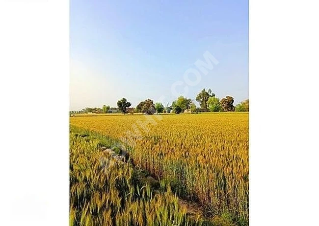 UZUNKÖPRÜ BAYRAMLIDA BÜTÇE DOSTU 178m2 ARAZİ