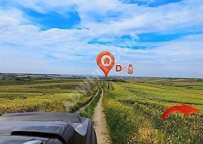 1177 m² Land for Sale in Pehlivanköy Doğanca, Close to High-Speed Train!