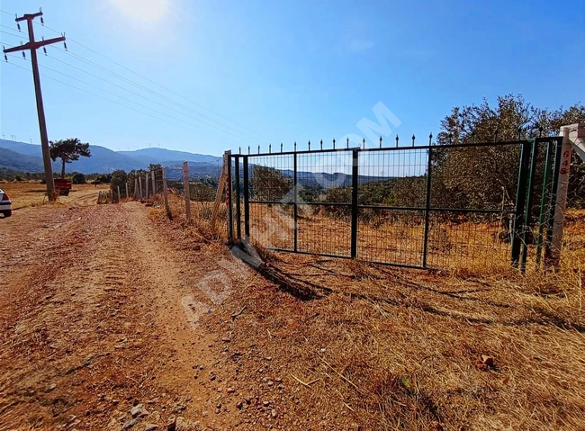 ⫸AKÇAY BEST EMLAK⫷ KÖYLÜCE 'DE YATIRIMLIK 11.535 M2 ZEYTİNLİK