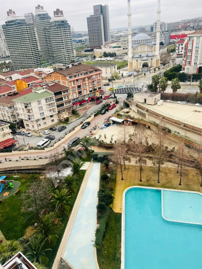 شقة فارغة او مفروشة للاجار