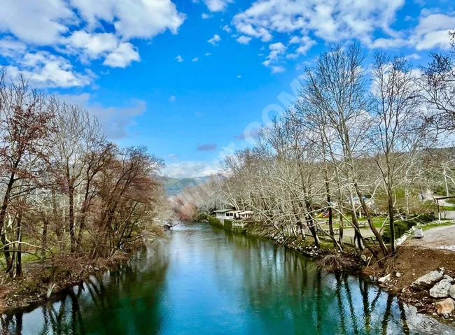 ⫸BEST EMLAKTAN⫷KÖYÜN DİBİNDE 1500m2 ASFALTA 1 PARSEL ZEYTİNLİK