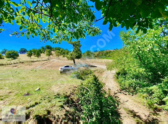 ⫸ AKÇAY BEST EMLAK ⫷ YATIRIMA İLK ADIM FIRSATI..! HOBİ BAHÇESİ