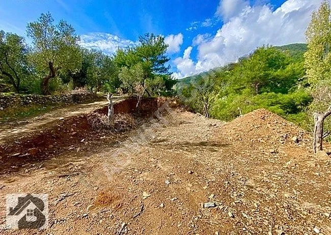 ⫸SADECE AKÇAY BEST EMLAKTAN⫷ GÜRE'DE ASFALTA SIFIR ^ZEYTİNLİK^