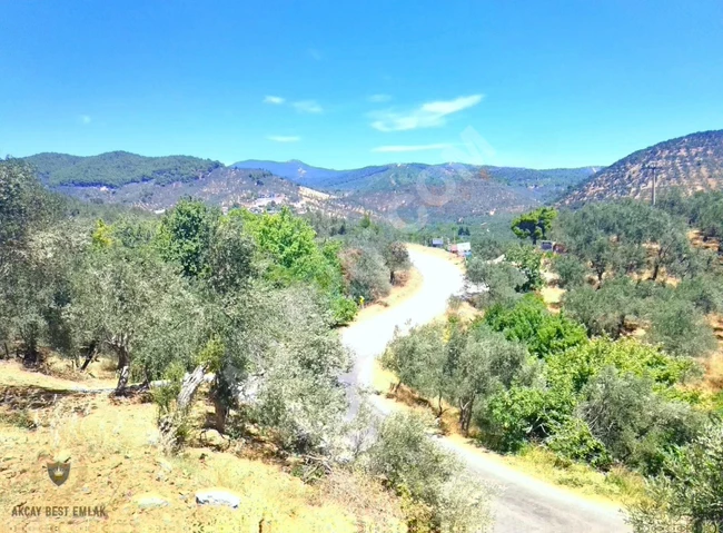 ⫸BEST EMLAKTAN⫷ PINARBAŞINDA 1 DÖNÜM ASFALT YOLA CEPHE ZEYTİNLİK