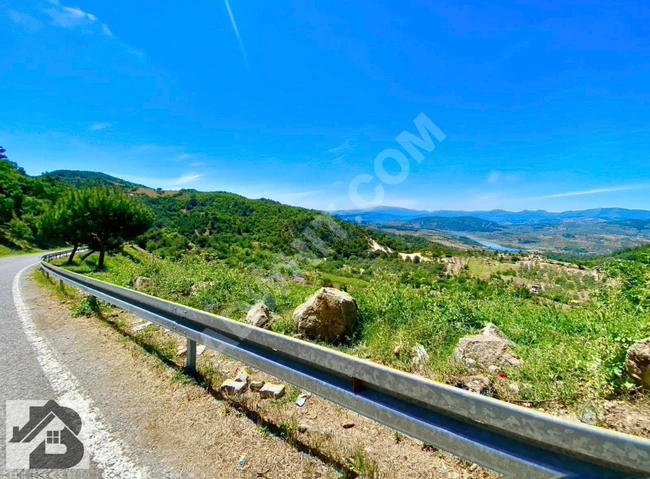 ⫸AKÇAY BEST EMLAKTAN⫷ HAVRANDA RESMİ YOLU MEVCUT 4 DÖNÜM BAĞ