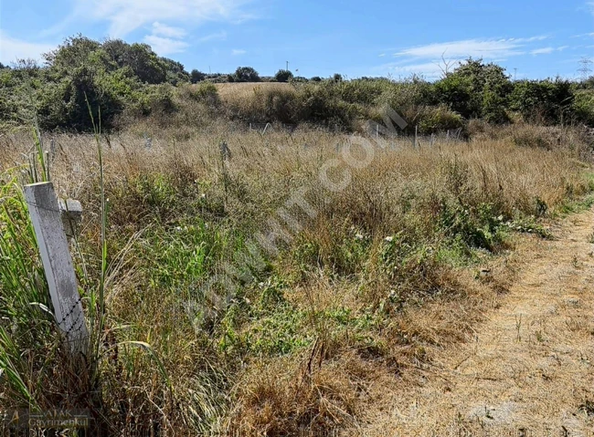 URGENT!!! 250 M² LAND FOR SALE AT AN AFFORDABLE PRICE IN ÇATALCA DAĞYENİCE