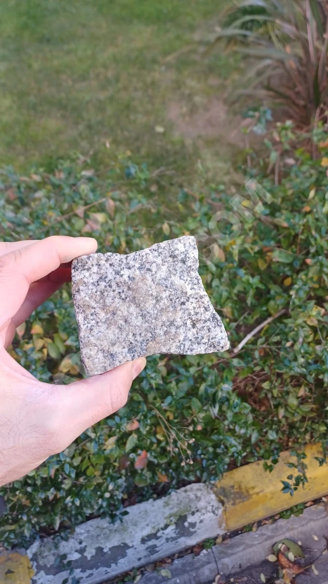 بيغونيت كوبتاش Begonit küptaş إزمير حليل أوسطا