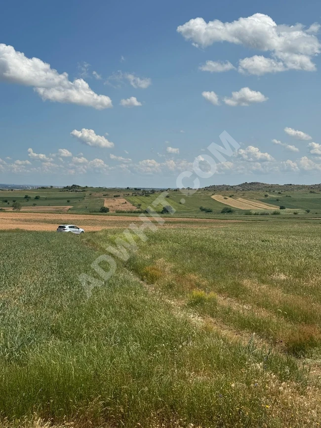 Kırklareli kayalı'da 77.000 m2 müstakil tapu