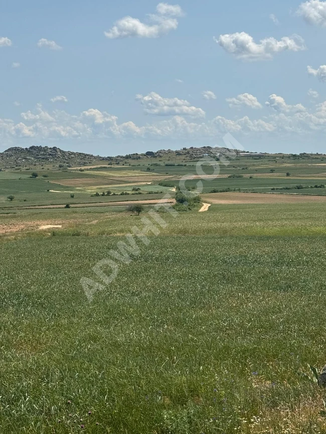 Kırklareli kayalı'da 77.000 m2 müstakil tapu