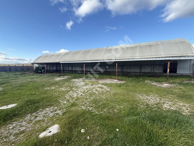 73.500 m² alana sahip Euro standartlarında lisanslı bir hayvan çiftliği