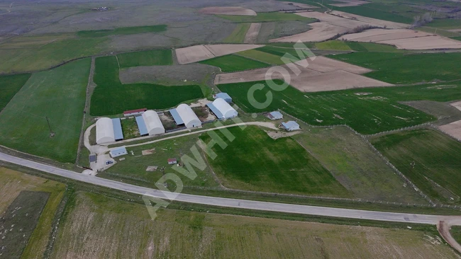 73.500 m² alana sahip Euro standartlarında lisanslı bir hayvan çiftliği