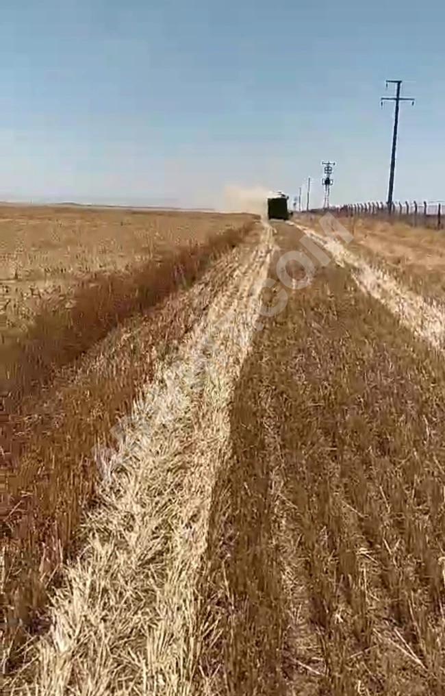 Agricultural land for sale, an excellent opportunity