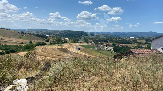 KOCAELİ KANDIRA AKINCIDA SATILIK TARLA