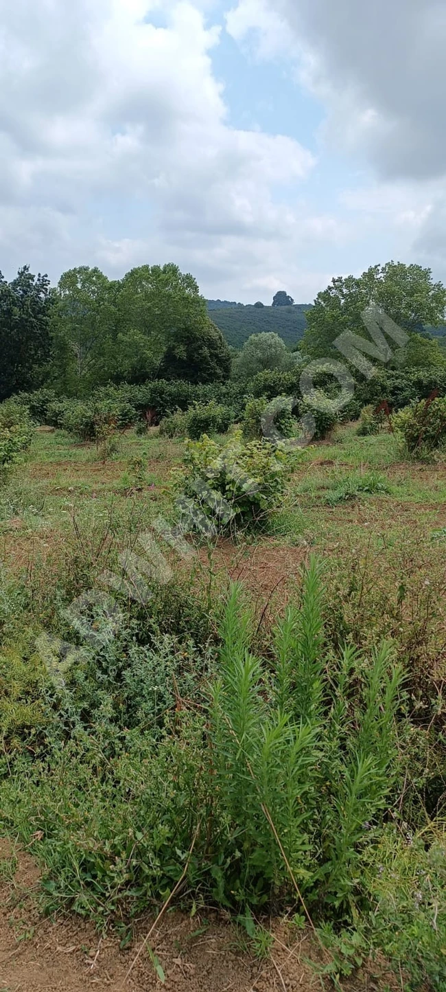 Sahibinden Satılık Çok Amaçlı yatırama uygun kredıye uygun 