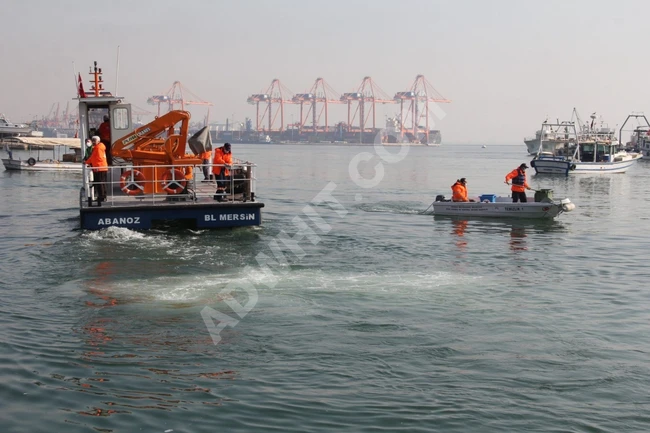 En İyi Kaliteli Küçük Deniz Knuckle Boom Vinç