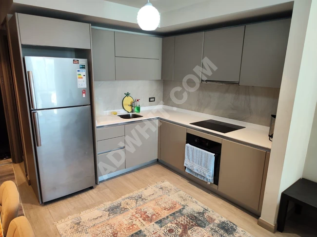 شقة للاجار مفروشة 1+1