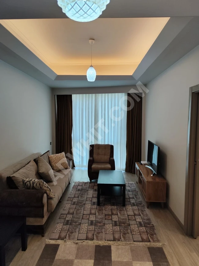 شقة للاجار مفروشة 1+1