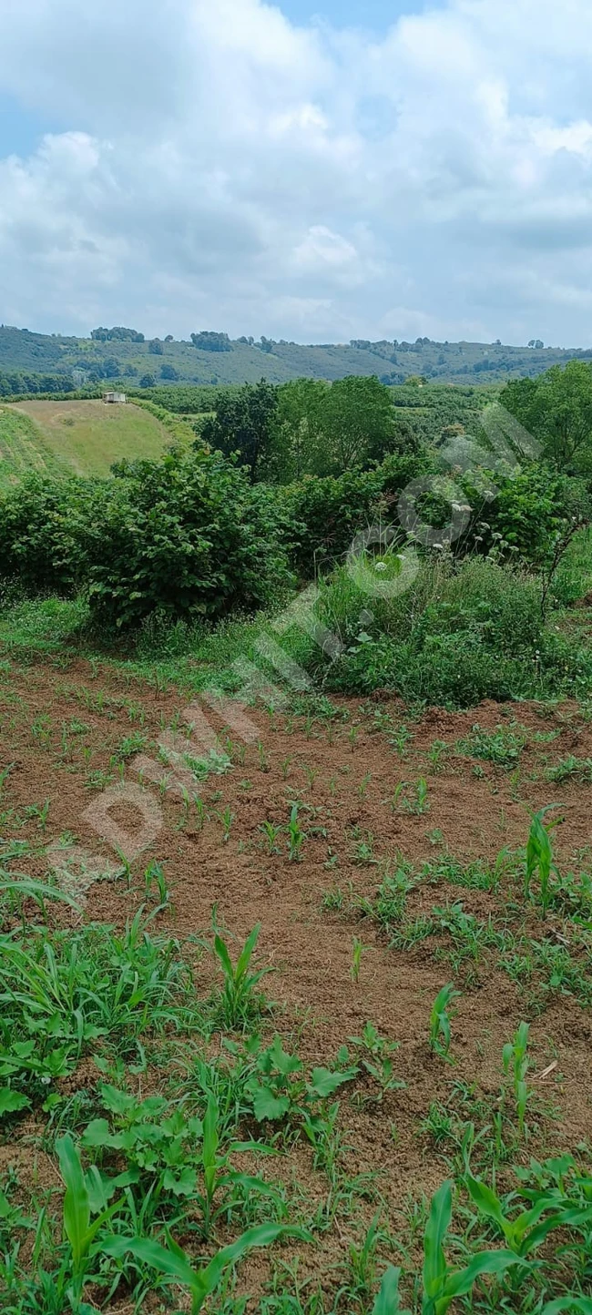 Sahibinden Satılık Çok Amaçlı yatırama uygun kredıye