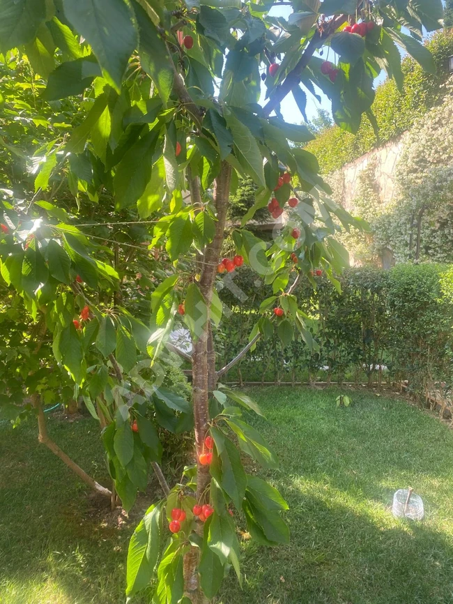 Şile Çavuş Mahallesi’nde Havuzlu. Güvenlikli 4+1 Villa görsel 12