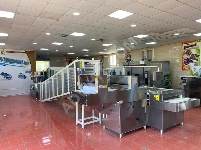 **Arap Ekmeği için En İyi Otomatik Fırın Projesi**