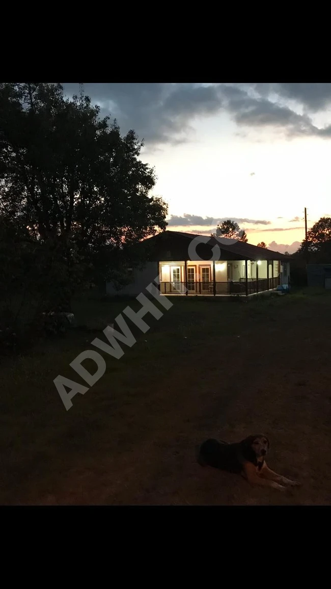 HENDEK SARIYERDE 4683 M2 TARLA İÇERİSİNDE SATILIK EV