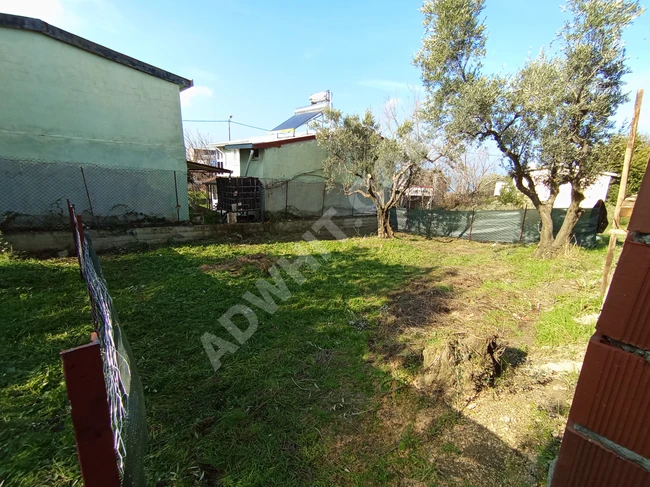 Mudanya Masudiye'de hisseli, 137 metrekarelik arsa.