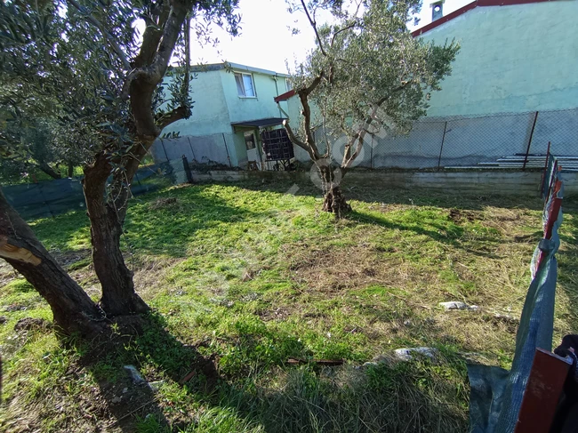 Mudanya Masudiye'de hisseli, 137 metrekarelik arsa.