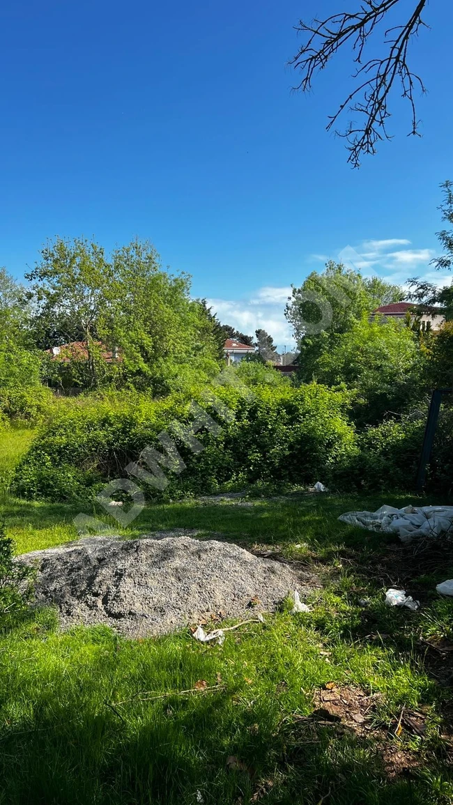 🌿 ŞİLE SAHİLKÖY’DE KAT KARŞILIĞI VEYA SATILIK ARSA FIRSATI 🌿 görsel 18