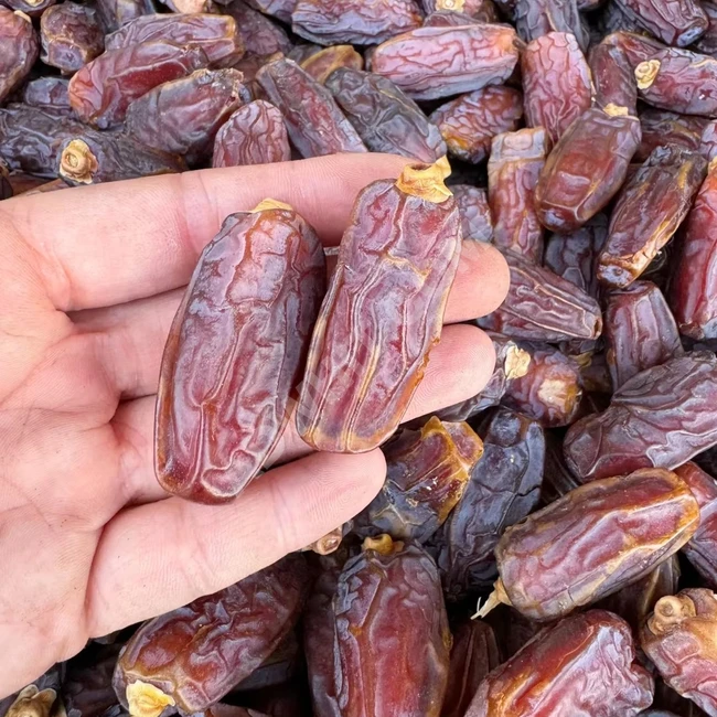 Wholesale Organic Natural Sweet Medjool Dates for Sale