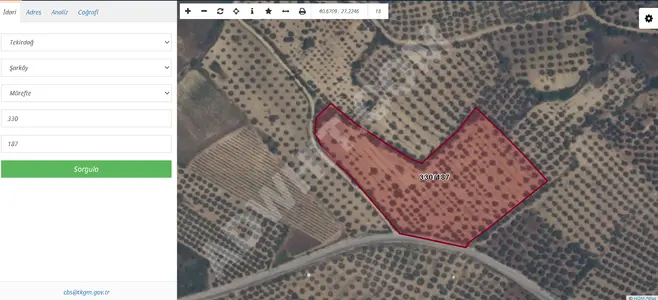 13,085 m² Olive Grove for Sale in Mürefte, Şarköy, Tekirdağ