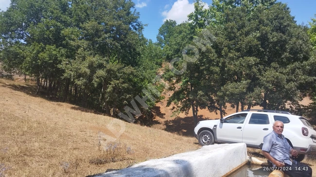 YENİ TOWER'DAN ÇANAKKALE'DE SATILIK 18 DÖNÜM ARAZİ