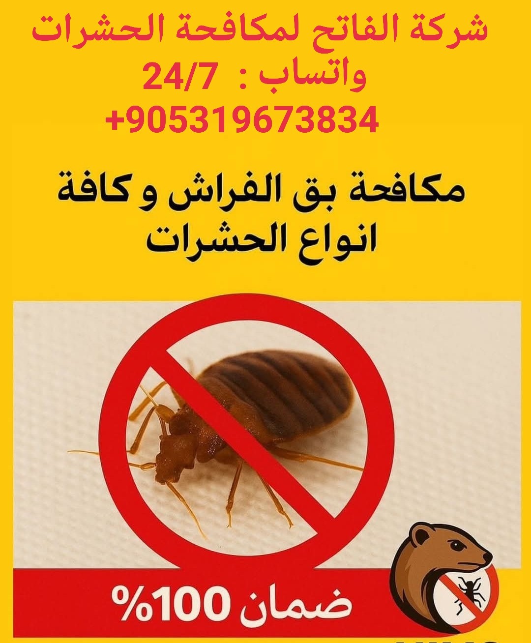 خدمات_مكافحة_الحشرات