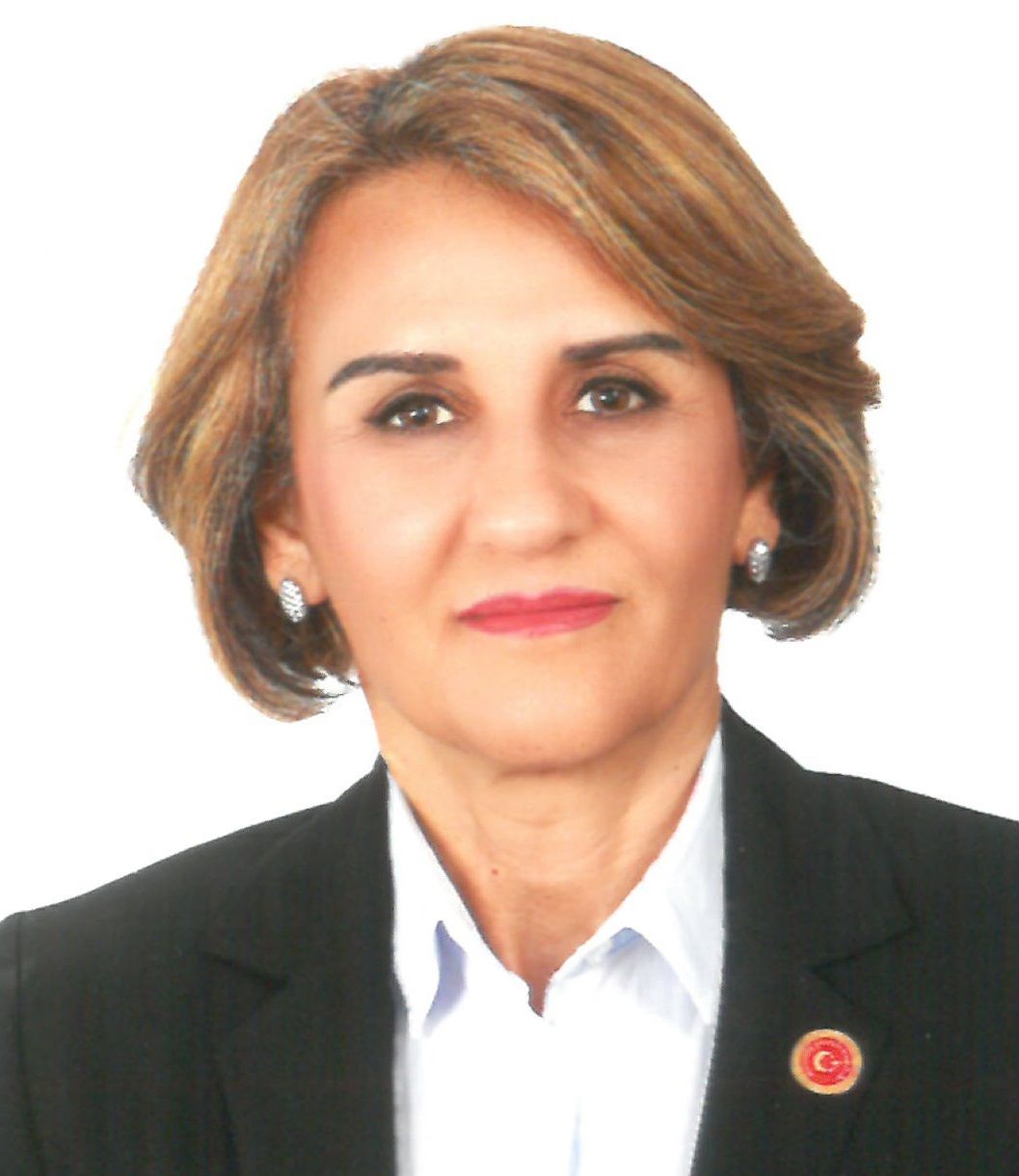 د. بيرغول جوشار