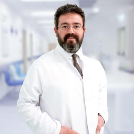 الأستاذ الدكتور بيلجه كاغان أيسال